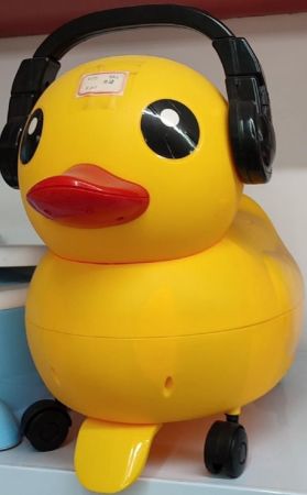 Potty Duck